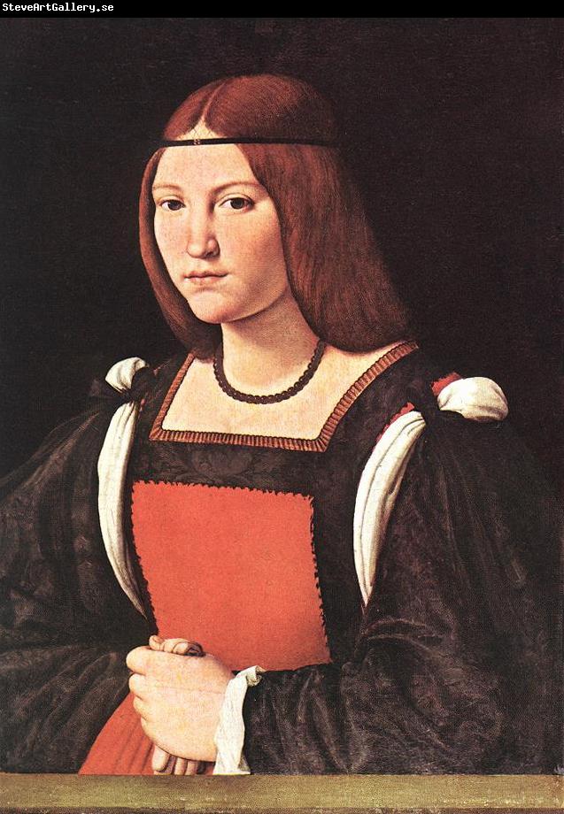 BOLTRAFFIO, Giovanni Antonio Portrait of a Young Woman 55